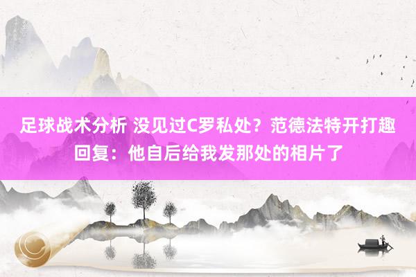 足球战术分析 没见过C罗私处？范德法特开打趣回复：他自后给我发那处的相片了