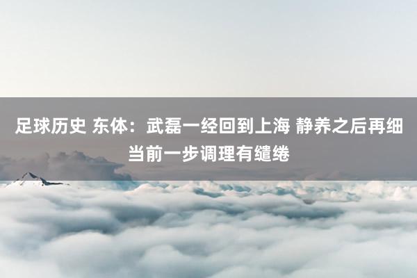 足球历史 东体：武磊一经回到上海 静养之后再细当前一步调理有缱绻