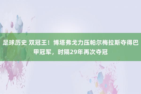 足球历史 双冠王！博塔弗戈力压帕尔梅拉斯夺得巴甲冠军，时隔29年再次夺冠